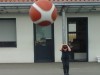 23