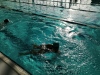 IMG_20230207_110824