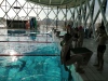 IMG_20230207_110858